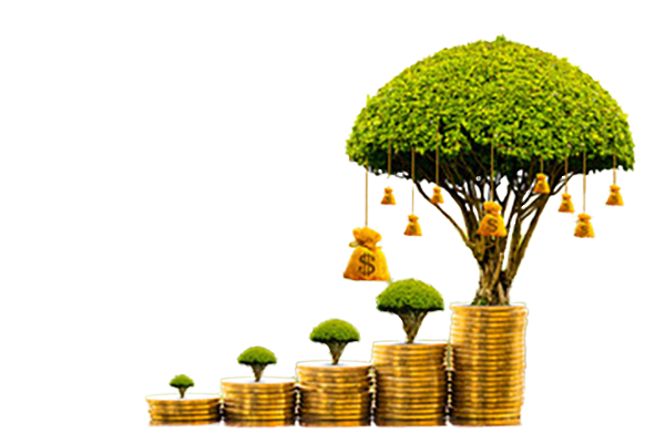 Invest Your Own Money